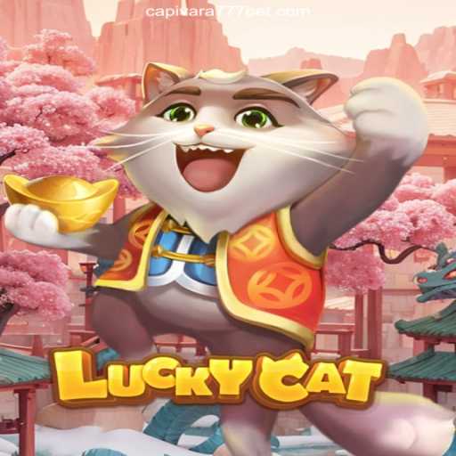 Unlock the Excitement: Discover LuckyCat and Capivara777 - Brazil's Premier Betting Platform